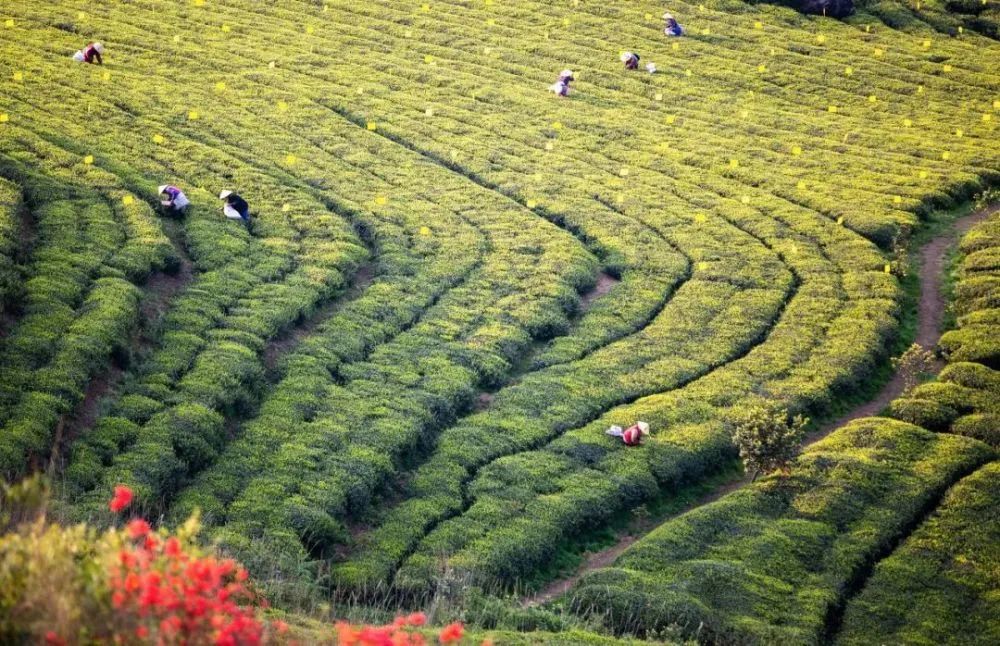 江西 9个适合一个人旅行的地方，趁着五一小长假出来走走吧~