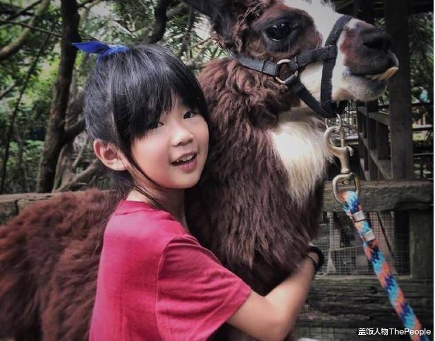 萌宝|吴镇宇儿子发福、郭涛儿子变壮、小沈阳女儿变美，昔日萌娃大变样