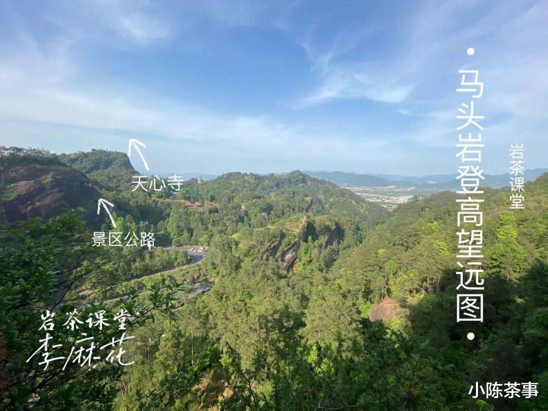 麻花|岩茶的第一道茶汤能喝吗？它不是洗茶水吗？怎么还叫还魂汤？