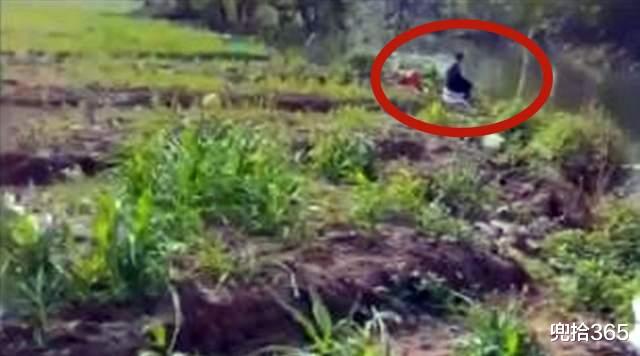 鳄鱼|罕见!广东一男子野钓意外收获“四脚鱼”,结果还把警察惊动了