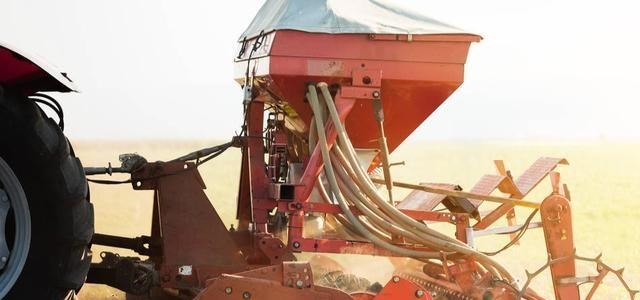 奶爸育儿宝库|机构预测：暴雨后粮价走势有变，玉米面临3大压力，小麦有跌有涨