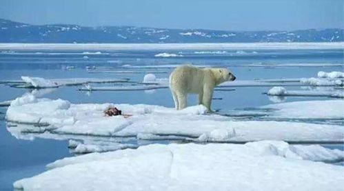 何沐青谈|我国东部多出1个省的面积，究竟是什么原因？是全球气候变暖吗