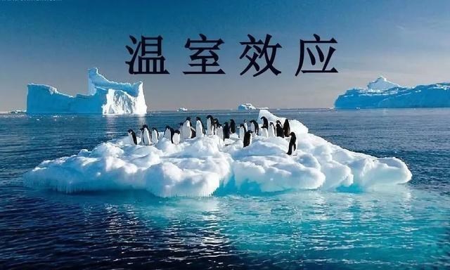  全球变暖的“始作俑者”是野猪？为何野猪会左右地球的气候变化？