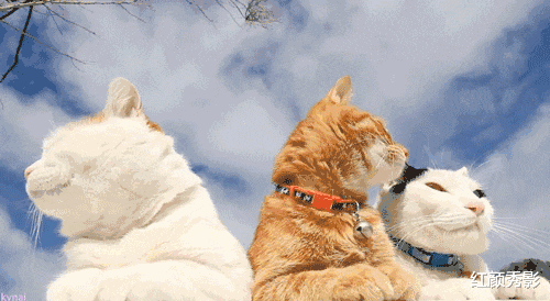 日常幻想指南|中秋档电影避雷，它是其中之一