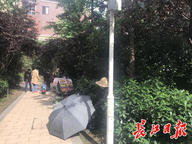 长江日报 老人边看英文版物理书边卖鸡蛋,红了之后,书也不敢看了