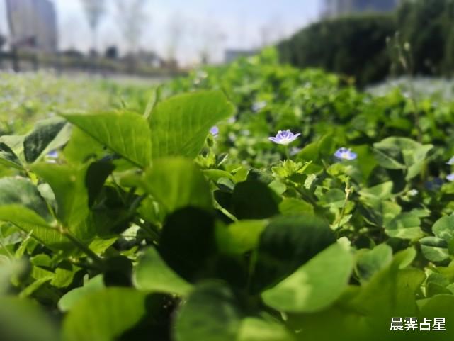 晨霁占星|晨霁一周星座运势8.30-9.5下：隐而不发