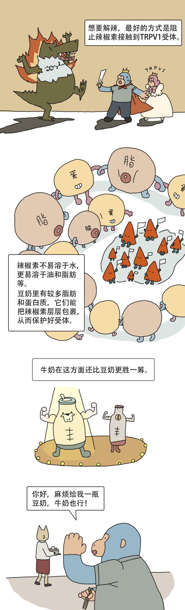 漫畫|好好的海帶，為啥要打結？（漫畫）吃了那么多年，終于知道答案了