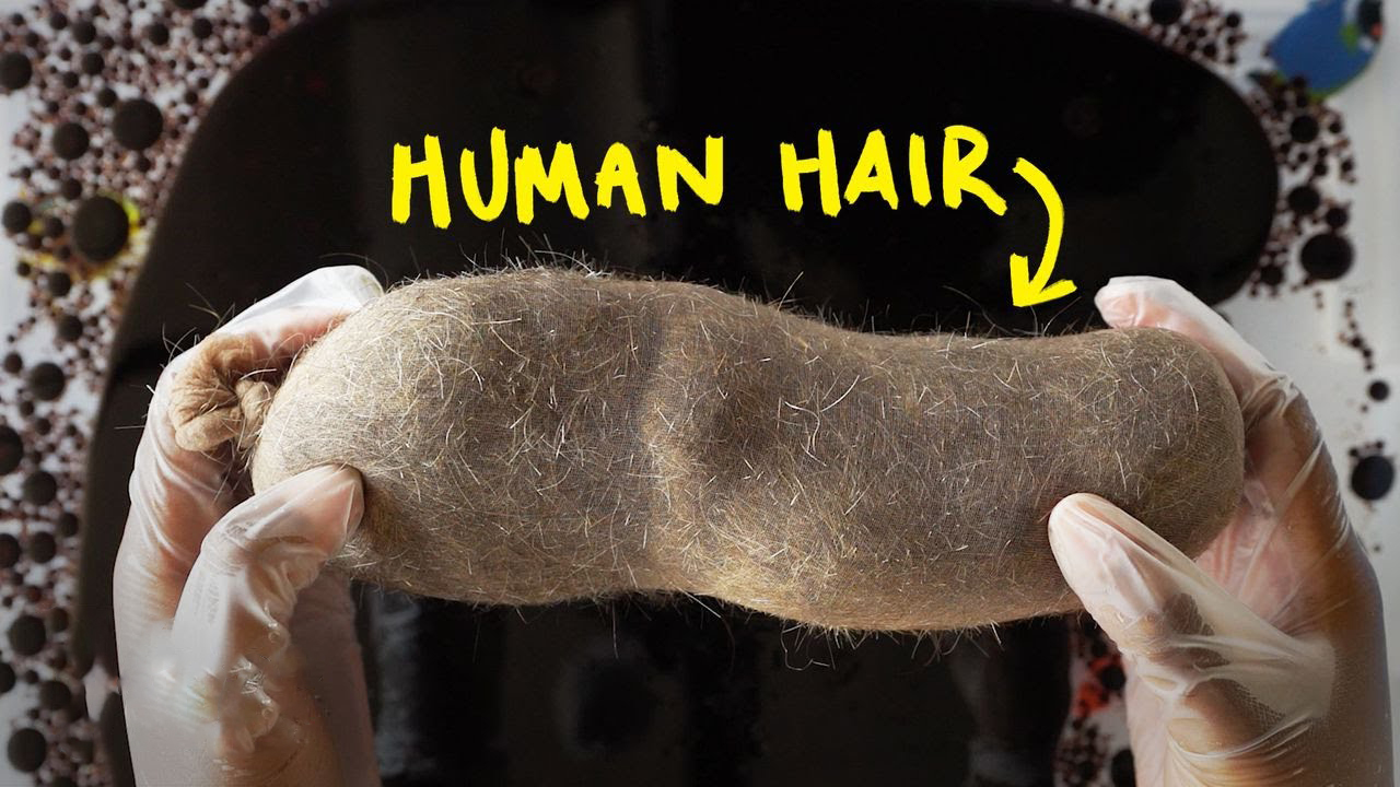 久见菌菌|1000吨石油泄漏，国民纷纷捐发吸油，几百万的项目用头发能搞定？