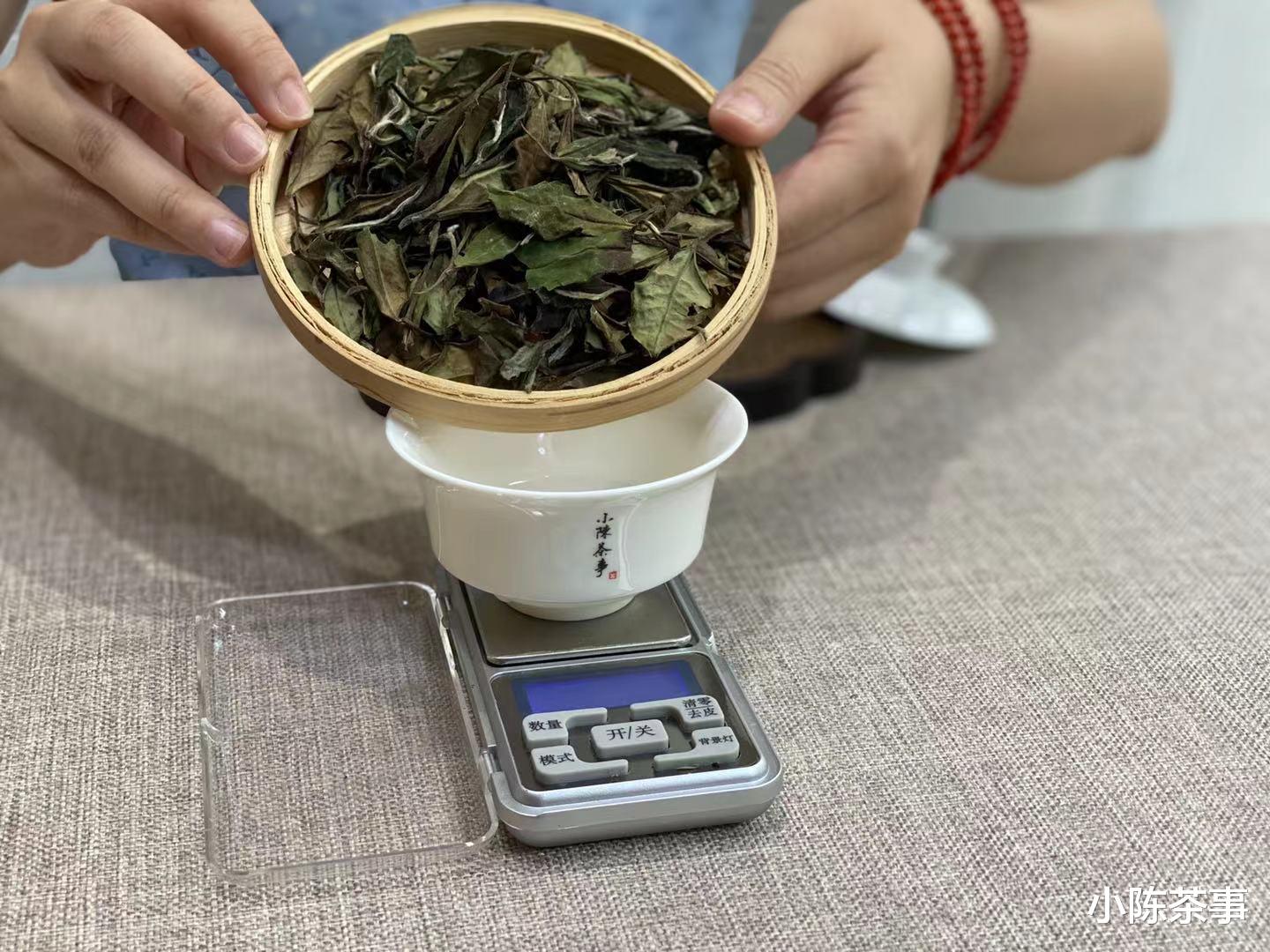 茶叶|新白茶有青味、不耐泡、转化没到位？茶圈歪理该彻底翻篇了