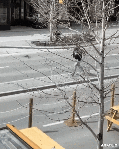 欧美明星|网红美照幕后拍摄真相：这都是些什么鬼？