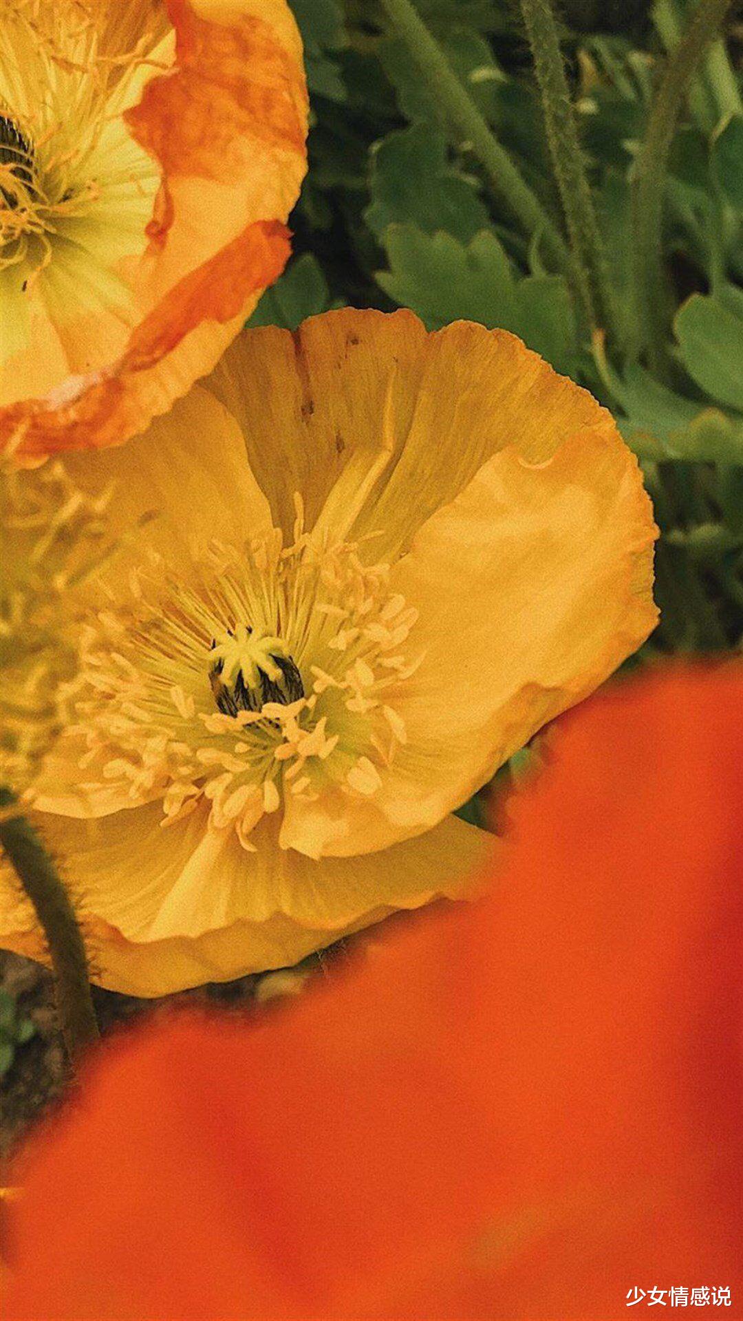 星座性格|职场当中,自身能力不俗,却更注重头脑的3个星座