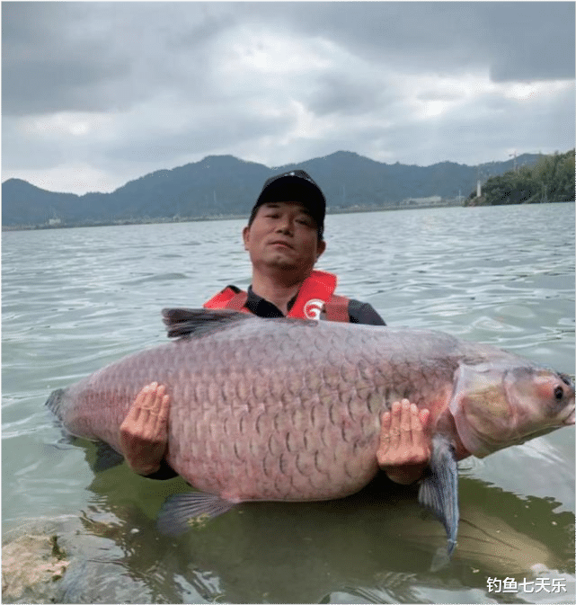 刘德华|被网友质疑靠刘德华“炒作”，钓王邓刚回应：你怎么不去炒