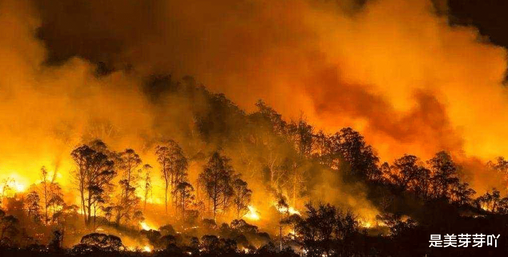 如果小行星撞击地球的其他地方,恐龙能存活下来吗?