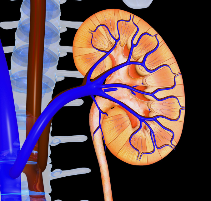 尿毒症|坚持做好4件事，肾功能更稳定，你不易被尿毒症盯上
