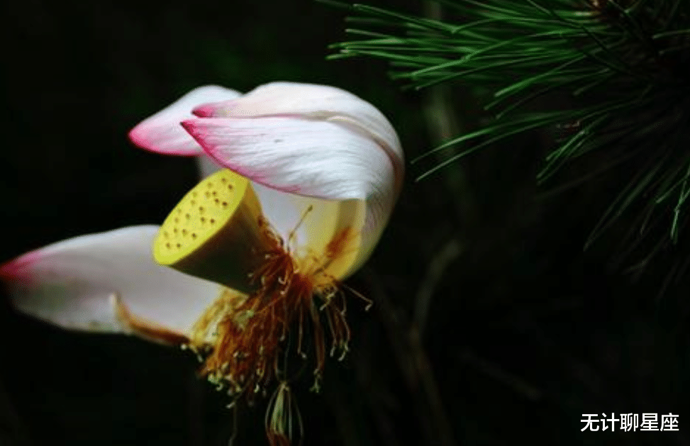 |三十之后，让人刮目相看的4个星座，面对任何困难，都能迎刃而过