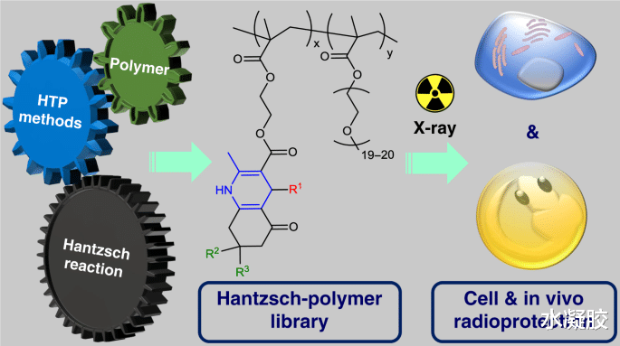 x光 清华大学陶磊团队《Nature》子刊：Hantzsch反应高通量制备X射线防护聚合物