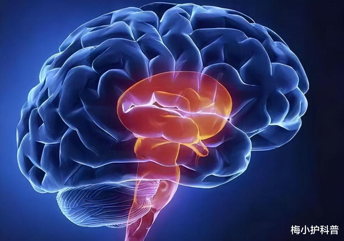 脑梗|怪不得脑梗找上门，睡前常有这4个习惯，不找你找谁