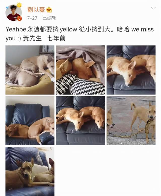 掌中趣事 杨岚航完美男主人设为什么突然不香了？原来是因为他