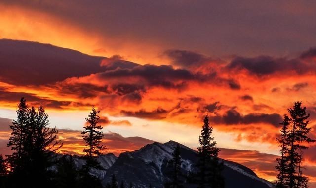 生态环境保卫者|坚守初心,苦熬岁月的星座,越是想要优秀,越愿意“自讨苦吃”