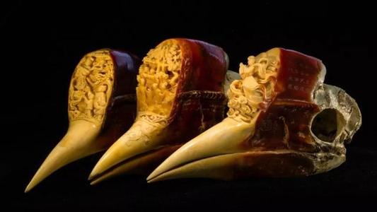 文玩|其貌不扬，盔犀鸟凭什么占据文玩界第一的宝座?