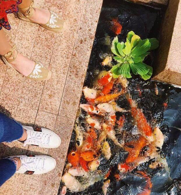 十万个家居为什么|52岁邓文迪现状：在美国拥有亿元豪宅，单身后生活反而变得更潇洒