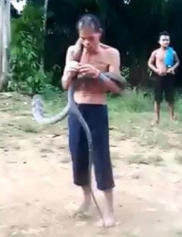 作死！印尼男炫耀耍蛇技巧，將眼鏡王蛇旋來繞去，直接被兩口咬死-圖3