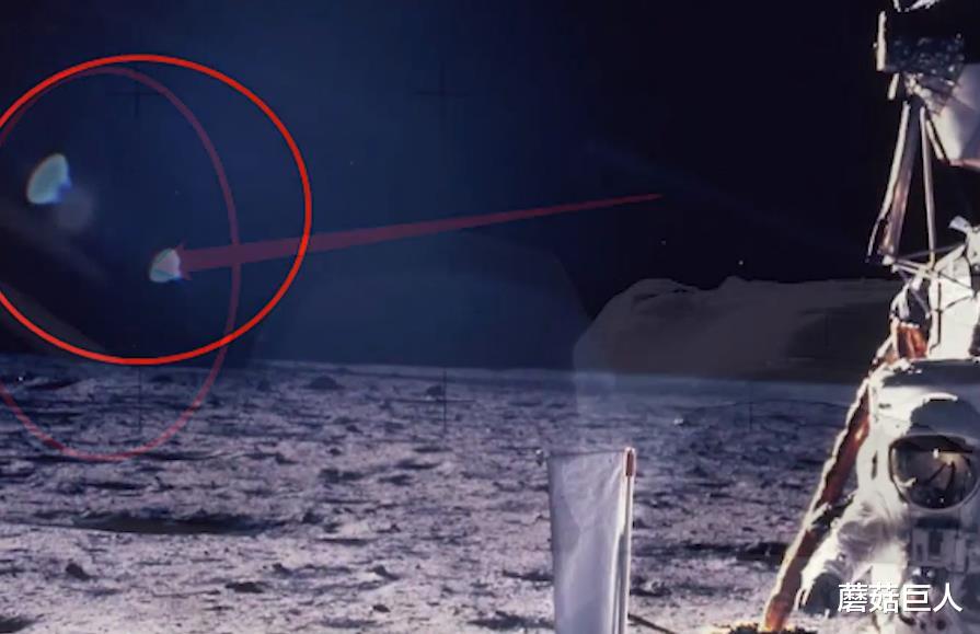 蘑菇巨人|被惊醒的星空客,异星人的狂欢夜,莱瑟塔族要出场了