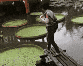 半暖时光|这些真实的电影镜头,有多少人误认为是特效?被骗了很多年,哈哈