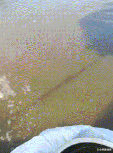 朱小燕聊情感|“网友说,他老婆出差的时候,给他带了一些绿色的橘子!”神评扎心了哈哈哈