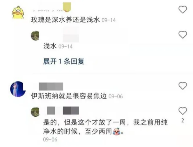 辩论赛忘关麦引发的社死 尴尬的扣出了四室一厅