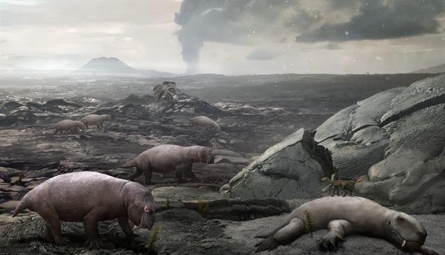  多个迹象表明第六次大灭绝已经来临？这真不是在开玩笑