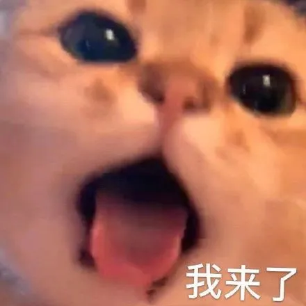 冷月恋爱顾问|喜欢的女生很内向？这几招让你迅速和她拉近距离！