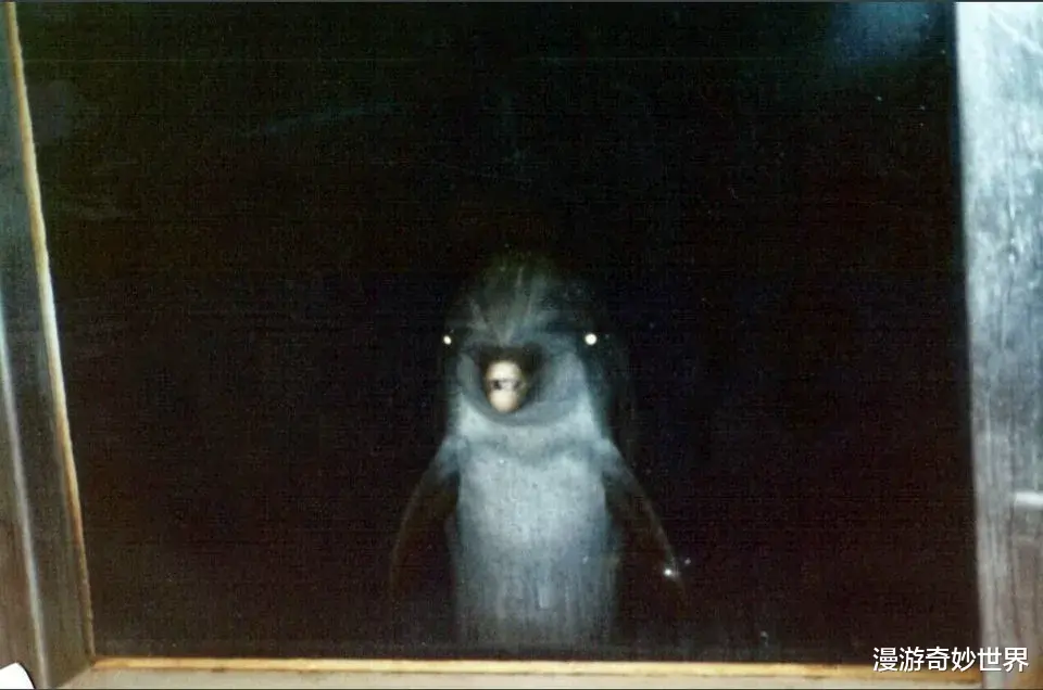 看完这30张图，深海恐惧症彻底发作了…