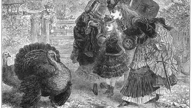 兼六园|一只来自墨西哥的怪鸟，为什么会成为欧美圣诞节的经典大餐？