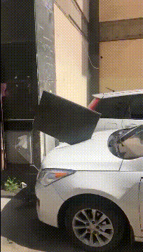 |“回家看到女朋友在瑜伽垫上睡着了，我是被绿了吗？”