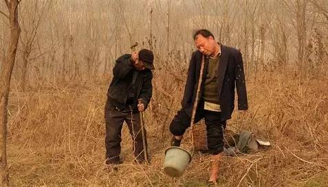 甄比比 5年前两位残疾老人种树50亩火遍外网 如今他们过得怎么样？