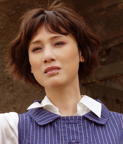 康熙王朝|“最美容妃”李建群：与导演同居24年却没有名分，已悄然离世