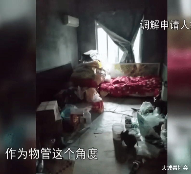大城看社会 买房10多年没有住,打开门邻居住里面,邻居:物业给的钥匙