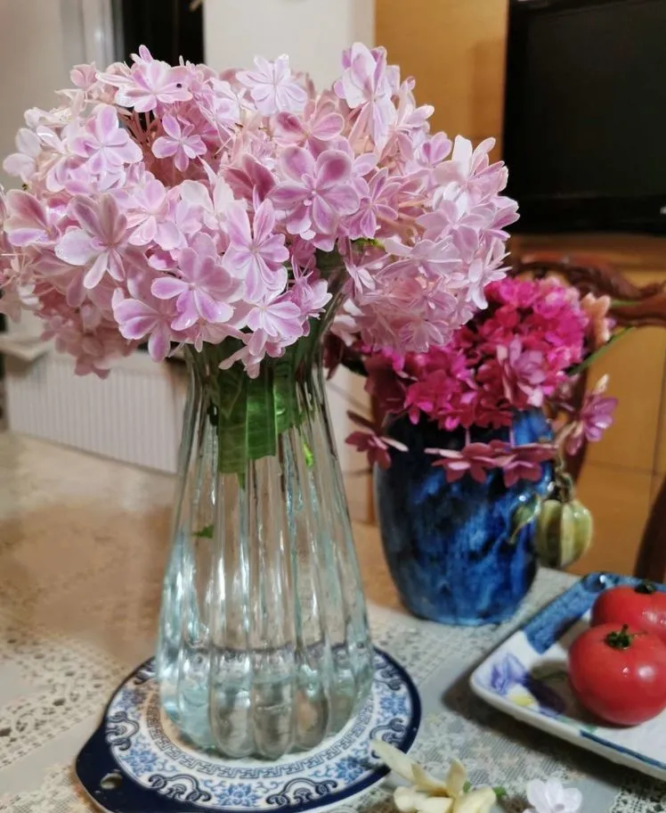 多肉植物|荒废了10年的80㎡小院，经过一番DIY花园改造，成了我最爱待的地方