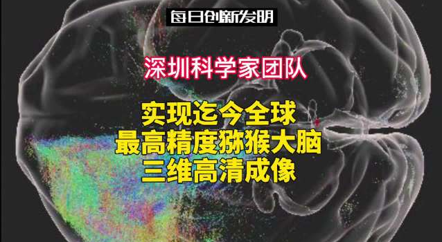 科学家 深圳科学家实现全球最高精度猕猴大脑三维高清成像