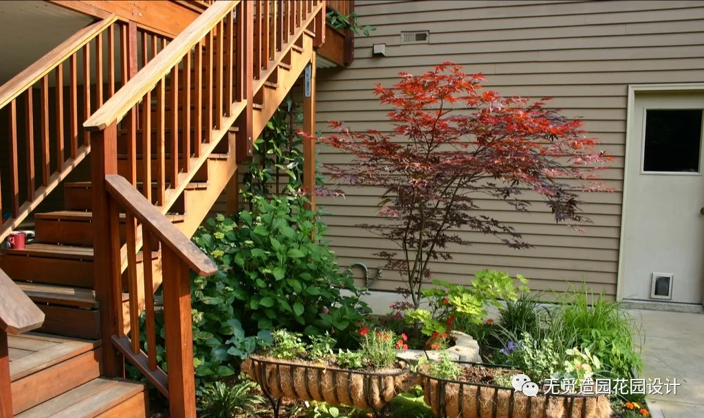 ?无觅造园：庭院植物种得好，旺宅聚气风水佳！