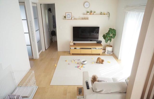 |日本太太太有远见了，坚持扔掉家中“鸡肋”用品，小家越住越舒适