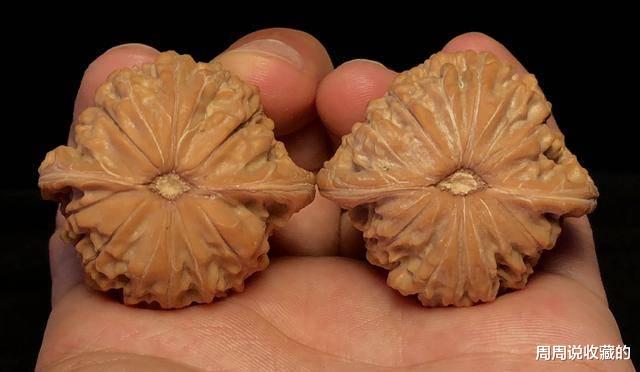 钱币|文玩核桃的尾脐到底该不该封？如何去封？