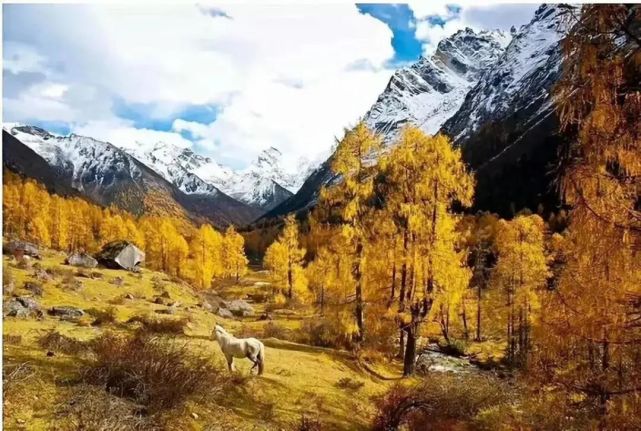 阿坝州|红火撩人！阿坝州20处最佳赏秋地出炉，赶紧收藏！