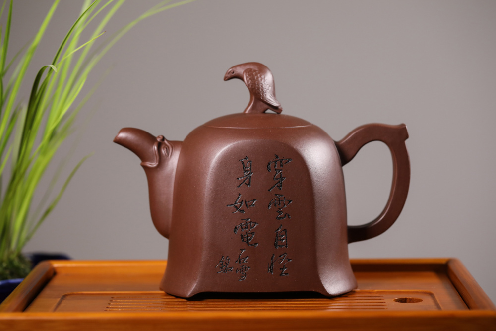 古钱币|紫先生：我的紫砂壶都是用来收藏的，需要拿出来养吗？