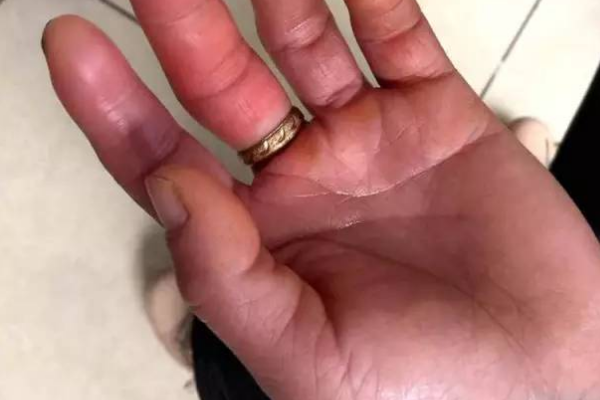 月球 威风凛凛的五步蛇，永远都是昂首挺胸，确实有它骄傲的资本