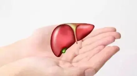 平直堂|容易疲劳的人肝不好，一个简单小动作，养好你的肝！