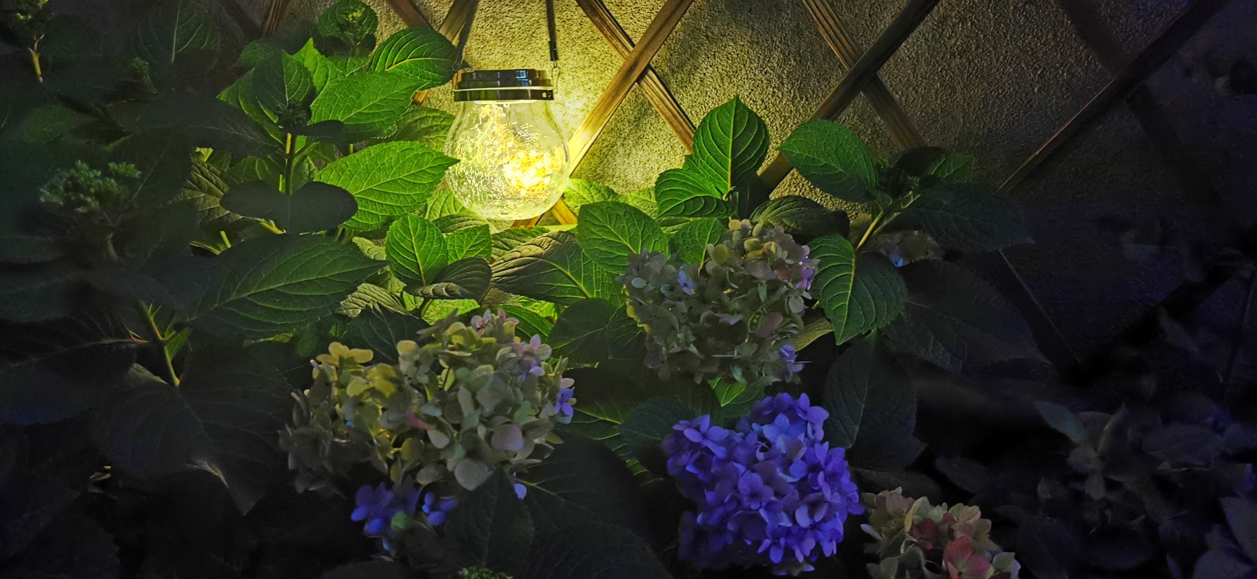 荒废了四年的10㎡北露台,改造成花园后,成了全家人最爱待的地方