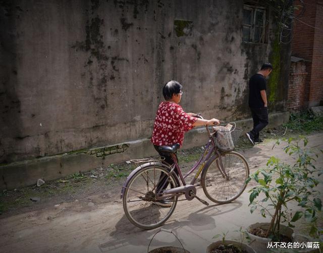 从不改名的小蘑菇|“我有保险，不用你养老”，结局让人深思
