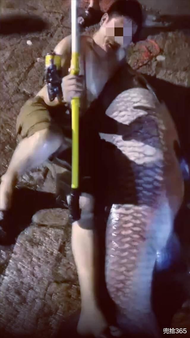 150斤米级青鱼,湖南一男子野钓的高光时刻,看到鱼竿后网友怒了
